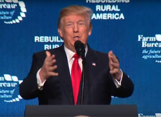 It’s too late to stop QAnon with fact checks and account bans