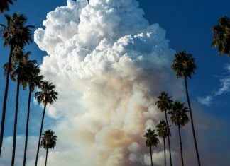 A Beautiful Yet Grim Map Shows How Wildfire Smoke Spreads