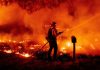 California’s recurring wildfire problem, explained