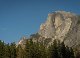 In defense of California