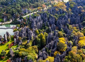 Mathematicians May Have Figured Out How ‘Stone Forests’ Form