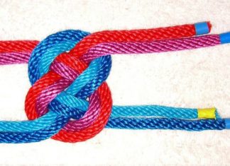 What TikTok teaches enterprises about tech entanglement
