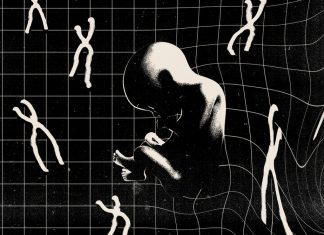 In Embryos, Crispr Can Cut Out Whole Chromosomes—That’s Bad