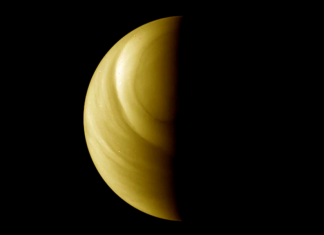 Not finding life on Venus would be disappointing. But it’s good science at work.