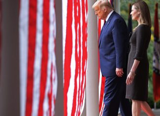 Trump’s antibody treatment was tested using cells originally derived from an abortion