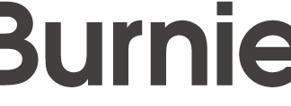 Technology and business transformation expert, Hiba Abdou, joins The Burnie Group – GlobeNewswire