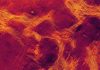 Scientists might have spotted tectonic activity inside Venus