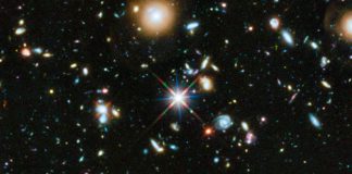 Are Humans the Meanest Species in the Universe?