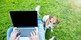 Virtual whiteboards prove vital for remote developer teams