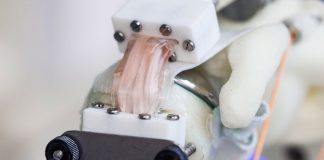 A robotic shoulder could make it easier to grow usable human tissue