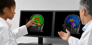 Evaluating brain MRI scans with the help of artificial intelligence