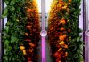 The Trendy, Spendy Future of Tech-Enabled Indoor Farming