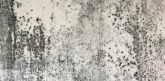 That Weird Smell in Your House Might Be Mold. Here’s How to Check