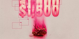Do AI systems need to come with safety warnings?