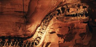 Video Games Need Better Dinosaurs. Paleontologists Can Help
