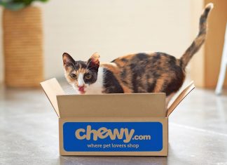 25 Best Cat Toys and Supplies (2023): Scratchers, Window Perches, Modern Furniture, and More