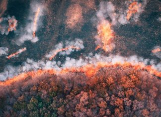 The IPCC’s Climate Report Foretells Humanity’s Future