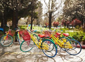 Google’s Bard AI to take on GitHub Copilot and Amazon CodeWhisperer