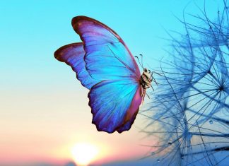 Google’s Dart 3 and Flutter 3.10 bring big changes