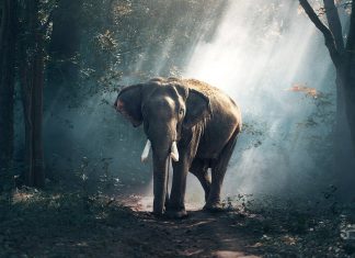 PostgreSQL 16 advances query parallelism