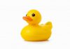 When the rubber duck talks back