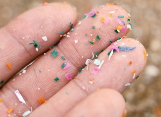 Microplastics are everywhere. What does that mean for our immune systems?