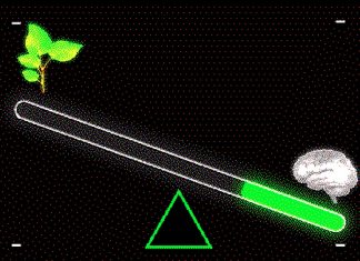 A ‘Green’ Search Engine Sees Danger—and Opportunity—in the Generative AI Revolution