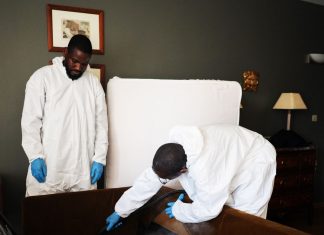 Inside the Race to Crush Paris’ Bedbug Crisis