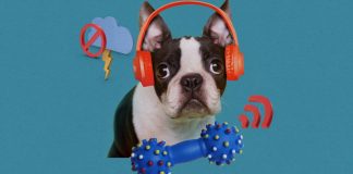 Noise-canceling headphones could let you pick and choose the sounds you want to hear