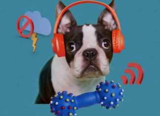 Noise-canceling headphones could let you pick and choose the sounds you want to hear