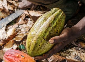 The World’s Broken Food System Costs $12.7 Trillion a Year