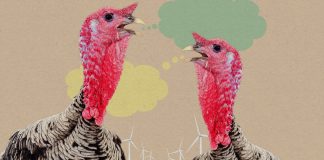 Your guide to talking about climate tech over the holidays