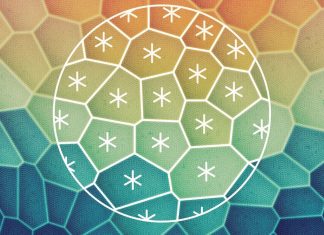 Biophysicists Uncover Powerful Symmetries in Living Tissue