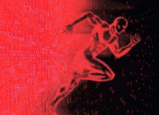 How software engineering will evolve in 2024