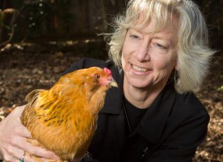 Meet the economist who wants the field to account for nature