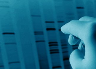 The Download: inside the first CRISPR treatment, and smarter robots