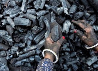 The Download: what we learned from COP28, and an advance for household robots