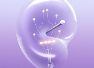 Forget Growth. Optimize for Resilience