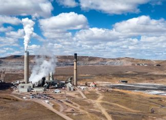 The SEC’s new climate rules were a missed opportunity to accelerate corporate action