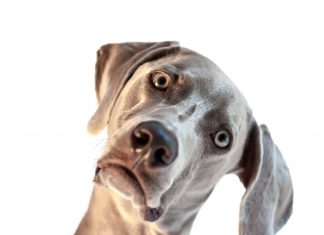 Understanding DbContext in Entity Framework Core