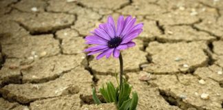 How to implement database connection resiliency in ASP.NET Core