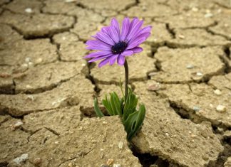 How to implement database connection resiliency in ASP.NET Core