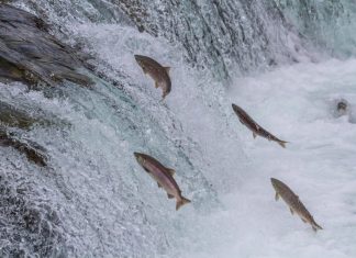 How to upstream code to open source projects