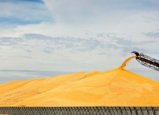 A US push to use ethanol as aviation fuel raises major climate concerns