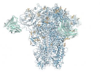 Google DeepMind’s new AlphaFold can model a much larger slice of biological life