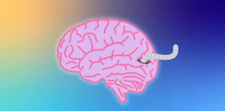 How Not to Get Brain-Eating Worms and Mercury Poisoning