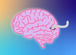How Not to Get Brain-Eating Worms and Mercury Poisoning