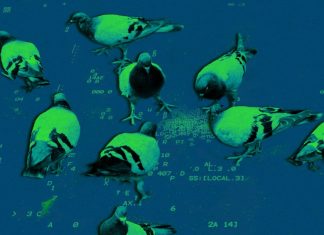 The Download: AI’s coding promises, and OpenAI’s longevity push