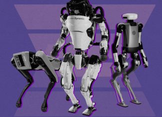 What’s next for robots
