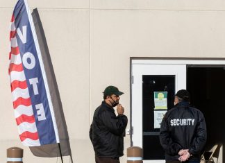 Top US Election Security Watchdog Forced to Stop Election Security Work